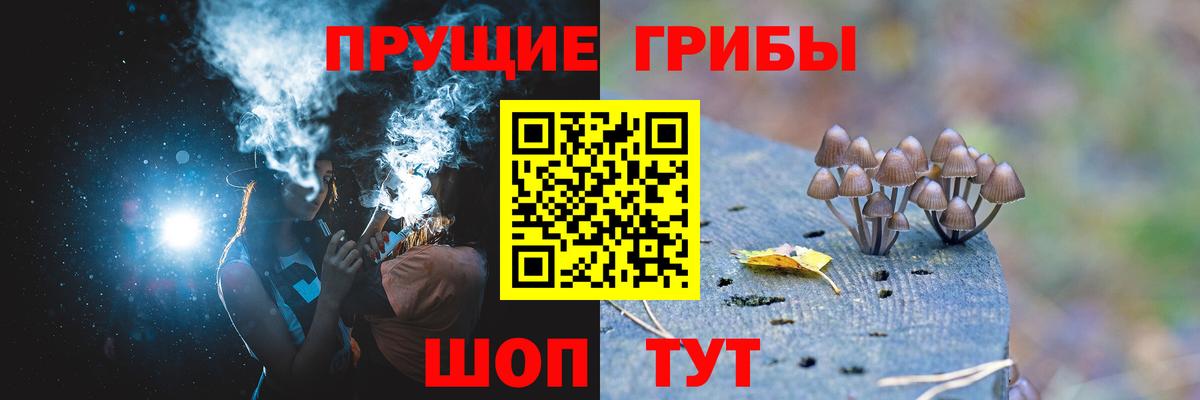 Галлюциногенные грибы прущие грибы  Вход с VPN  Энгельс  Галлюциногенные грибы прущие грибы 
